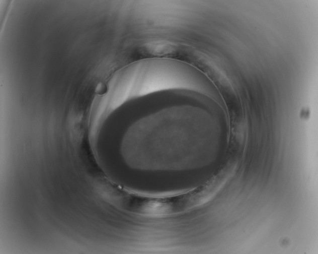 X0000103950319200809191447