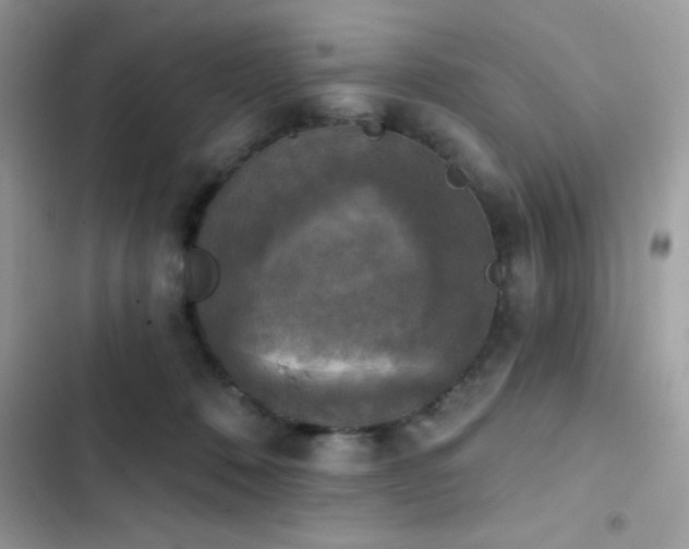 X0000103950320200809191447