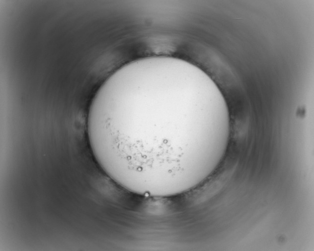 X0000103950321200809191447