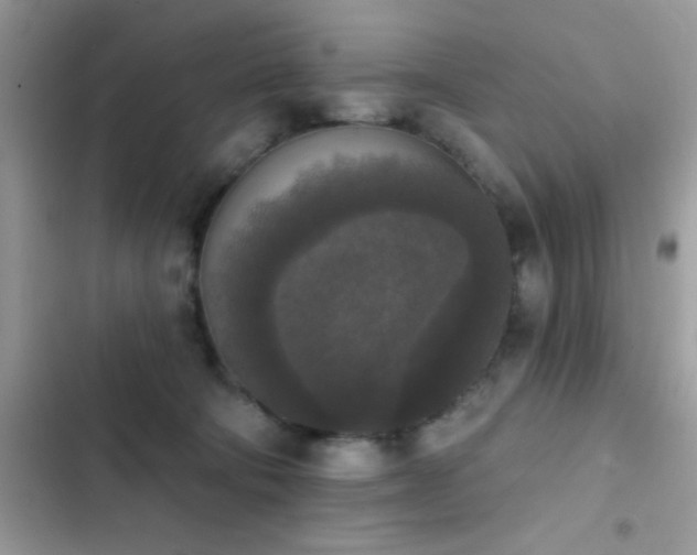 X0000103950322200809191447