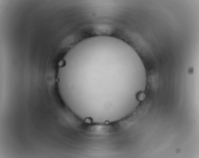 X0000103950323200809191447