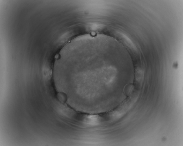 X0000103950324200809191447