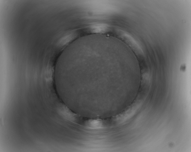 X0000103950325200809191447