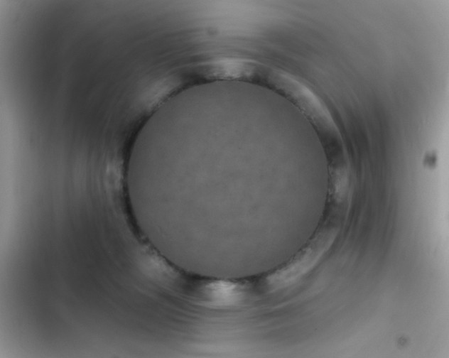 X0000103950326200809191447