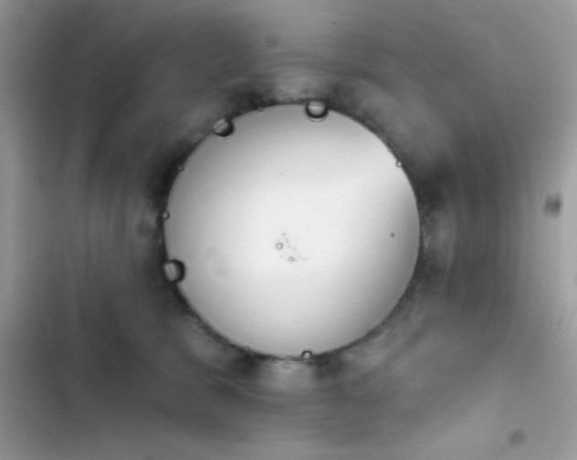 X0000103950327200809191447