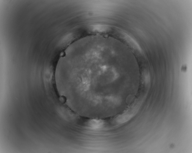 X0000103950328200809191447