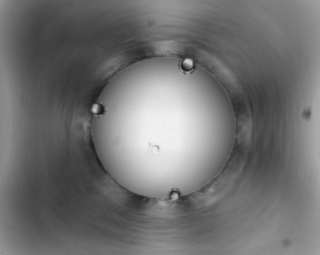 X0000103950329200809191447