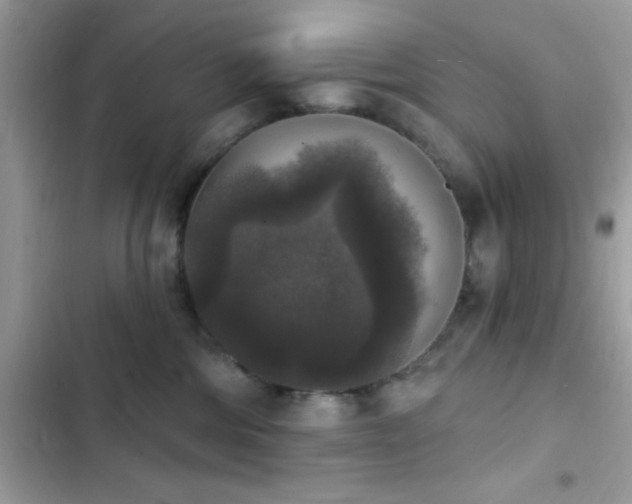 X0000103950330200809191447