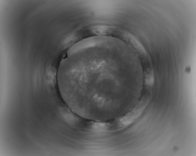 X0000103950332200809191447