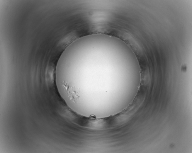 X0000103950334200809191447