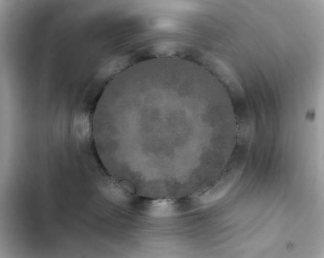 X0000103950335200809191447