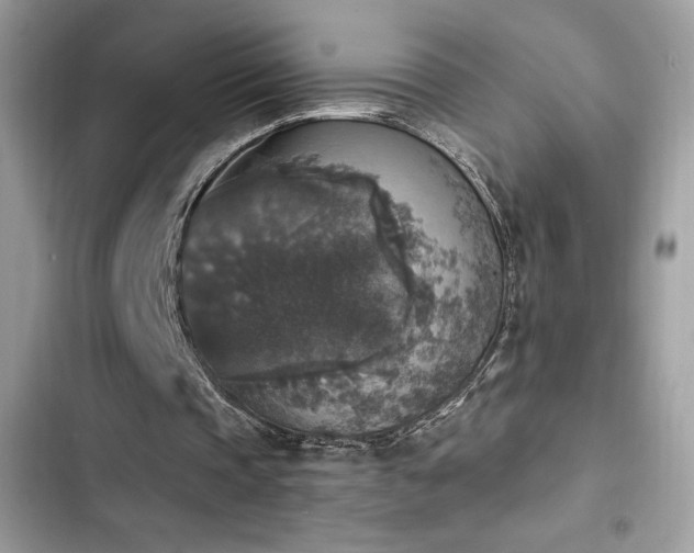 X0000103950337200809191446