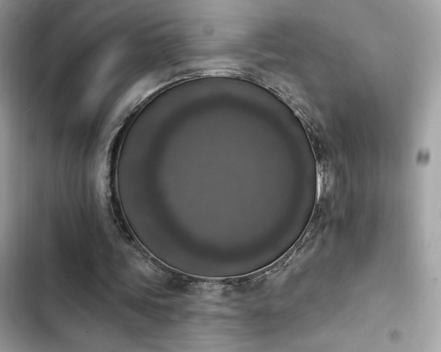X0000103950339200809191446