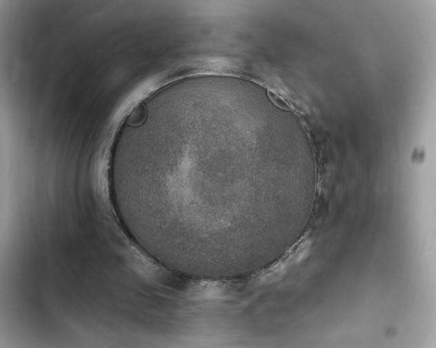 X0000103950341200809191446