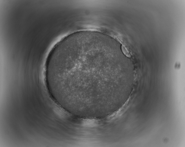 X0000103950342200809191446