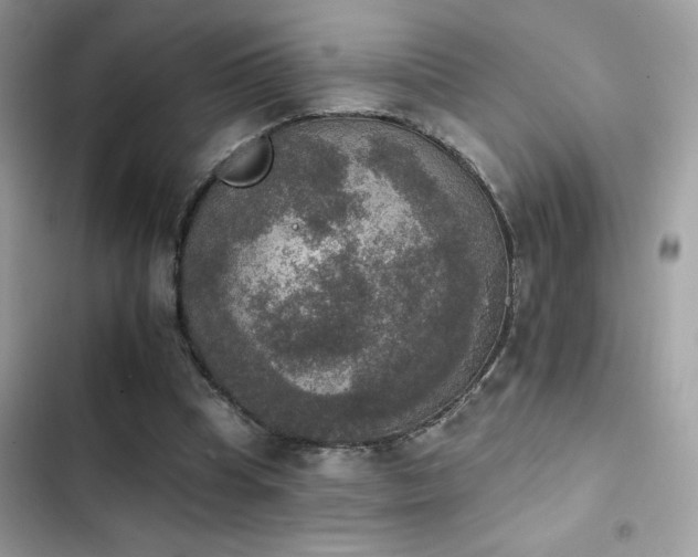 X0000103950345200809191446