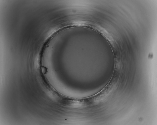 X0000103950347200809191446