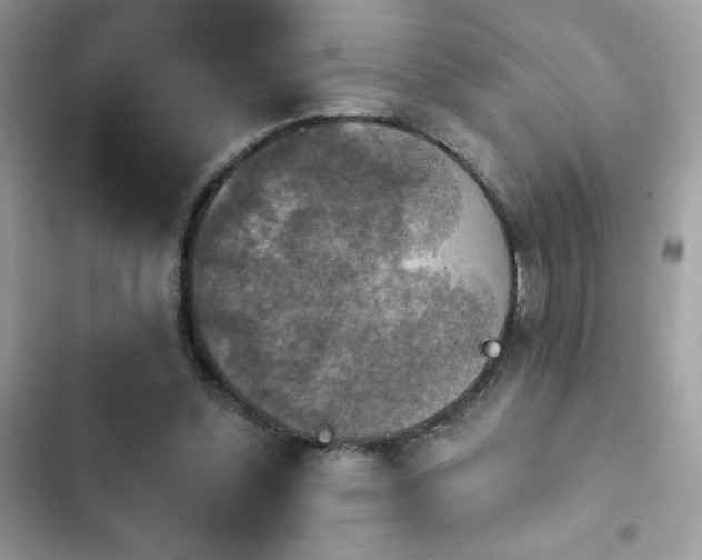 X0000103950348200809191446