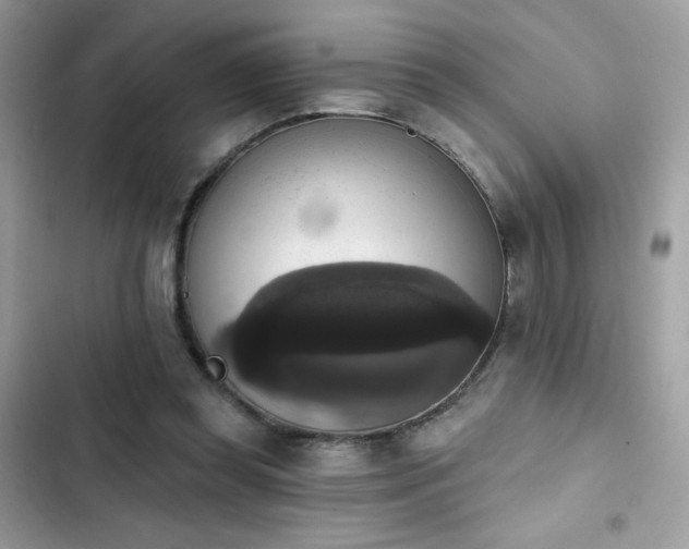 X0000103950349200809191446