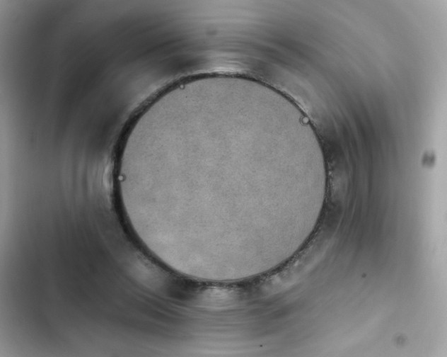 X0000103950350200809191446