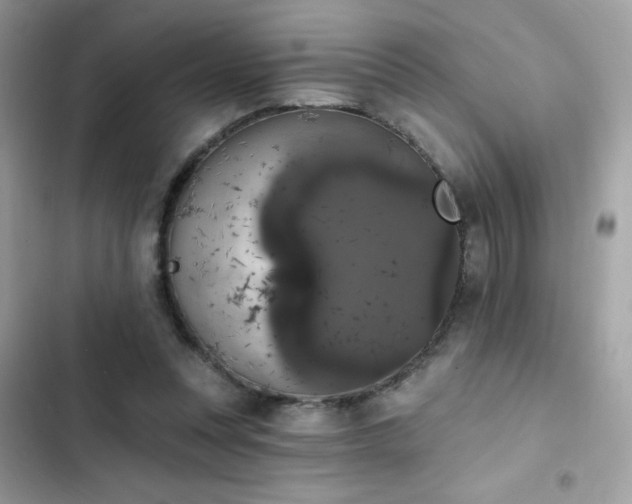 X0000103950351200809191446