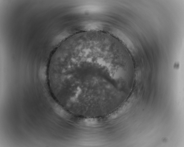 X0000103950353200809191446
