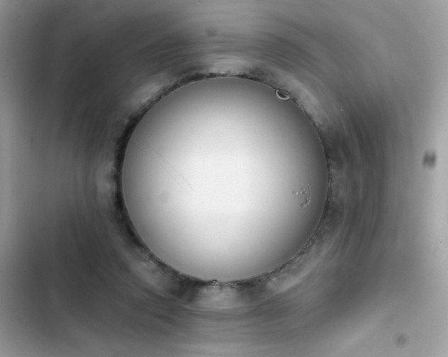 X0000103950354200809191446
