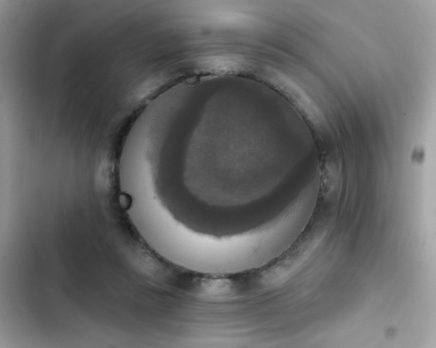 X0000103950355200809191446