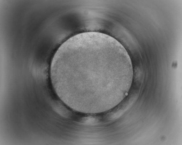 X0000103950356200809191446