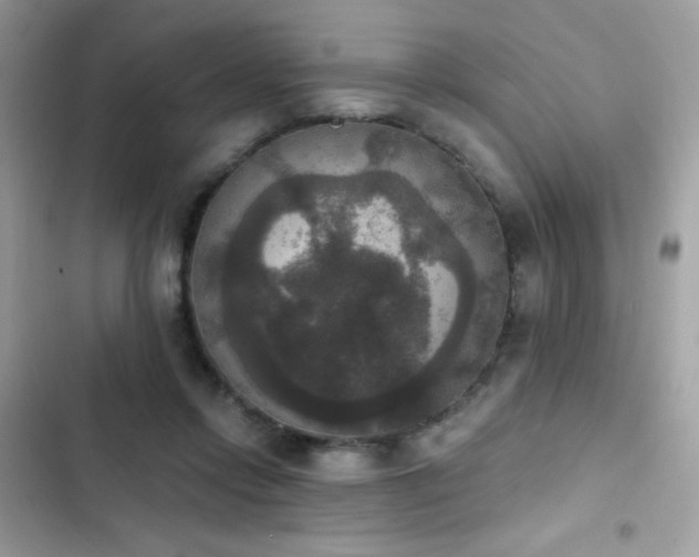 X0000103950358200809191446