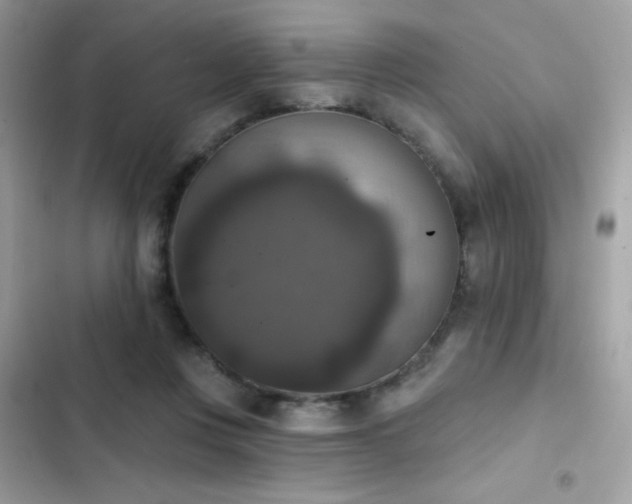 X0000103950359200809191446