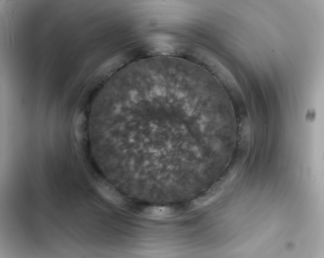X0000103950361200809191446