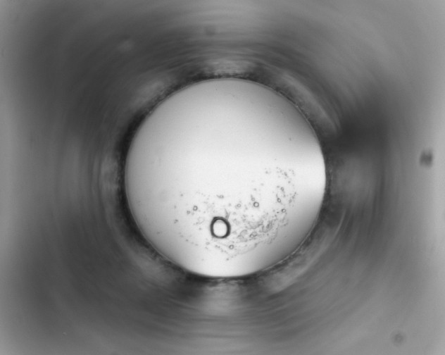 X0000103950362200809191446