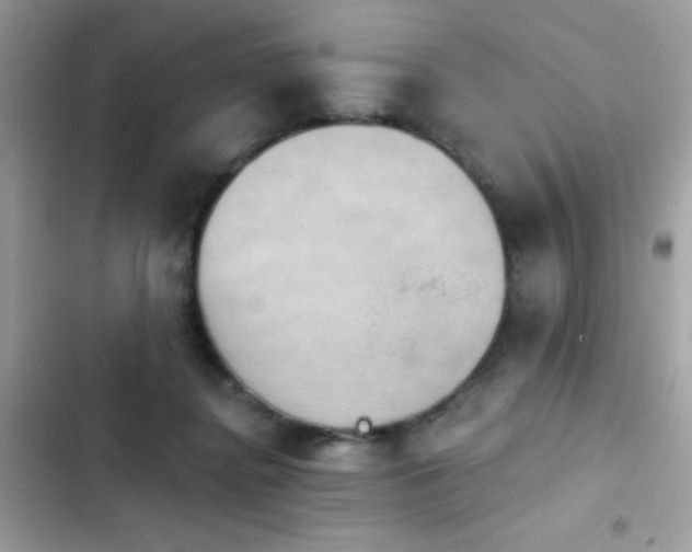 X0000103950364200809191446