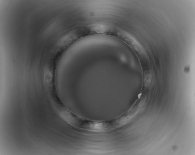 X0000103950365200809191446