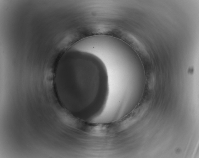 X0000103950366200809191446