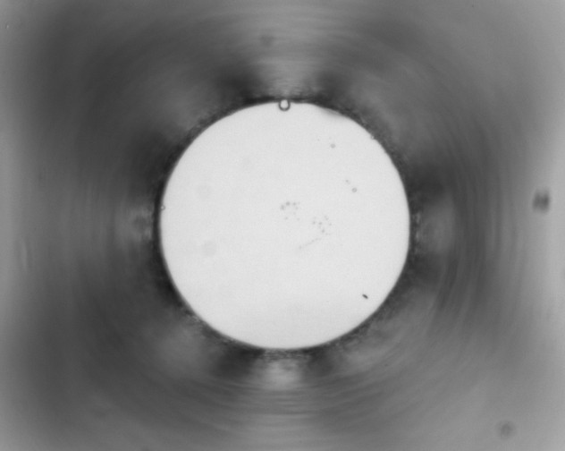 X0000103950368200809191446