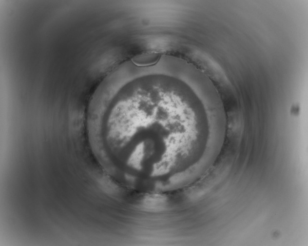X0000103950369200809191446