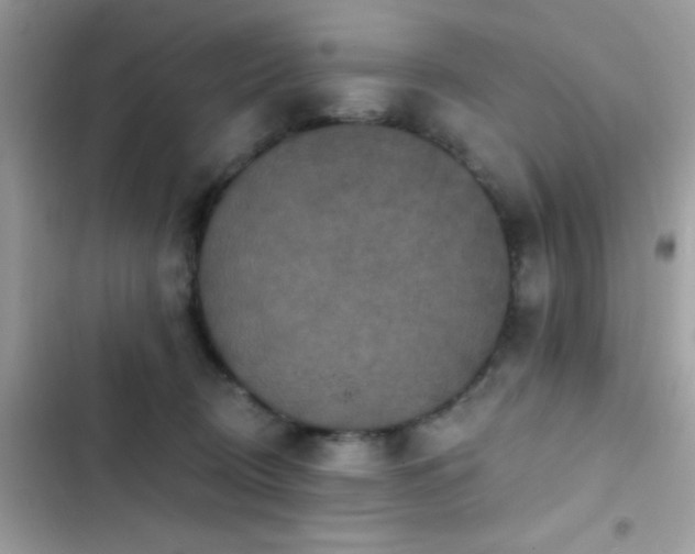 X0000103950370200809191446