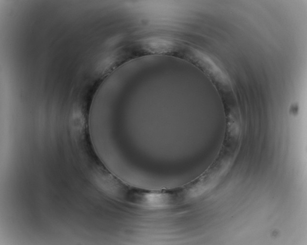 X0000103950371200809191446