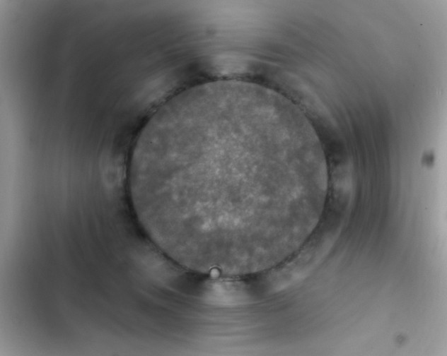 X0000103950372200809191446