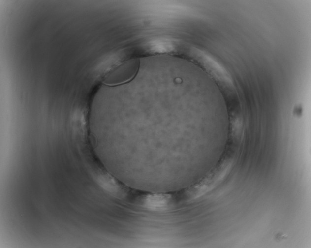 X0000103950373200809191446