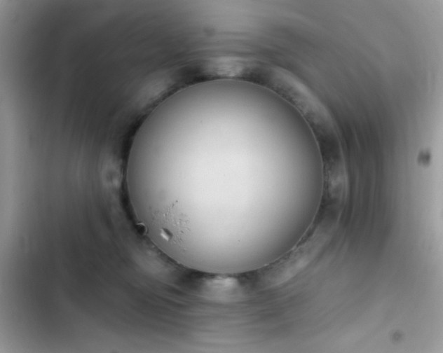 X0000103950374200809191446