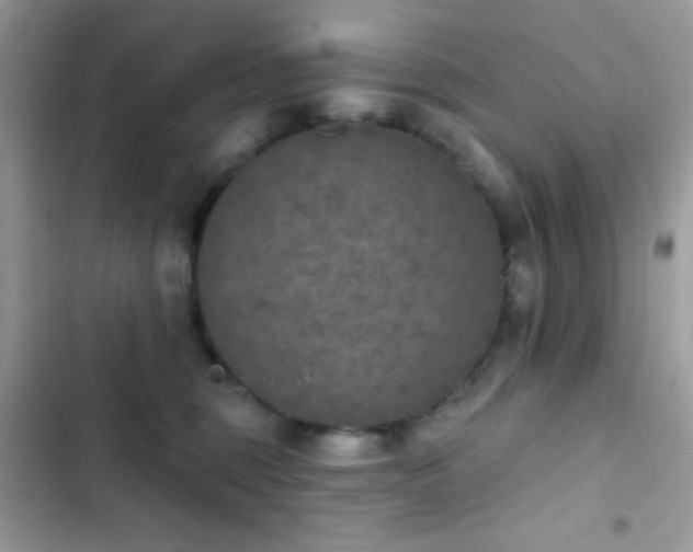 X0000103950375200809191446