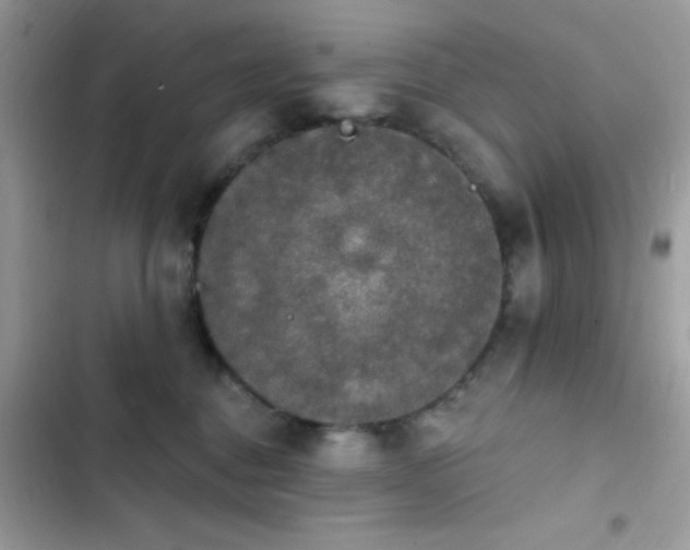 X0000103950376200809191446