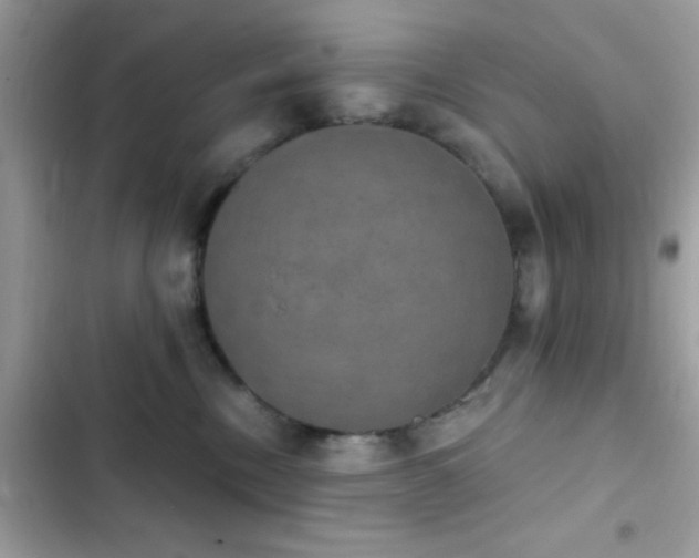 X0000103950378200809191446