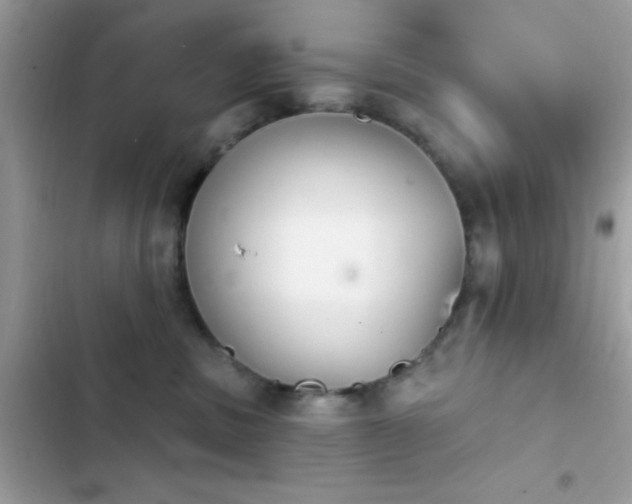 X0000103950379200809191447