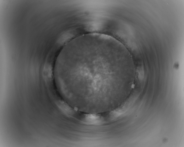X0000103950380200809191447