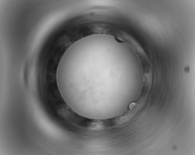 X0000103950381200809191447