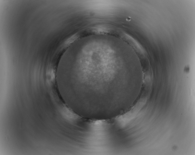 X0000103950382200809191447